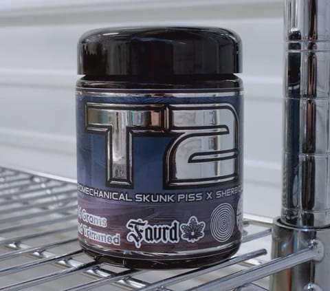 T2 14g Prepackaged Jar 5.5 Star Rated Exotic Flower | FAVRD