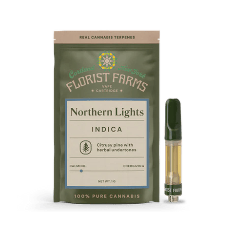 Northern Lights | 510