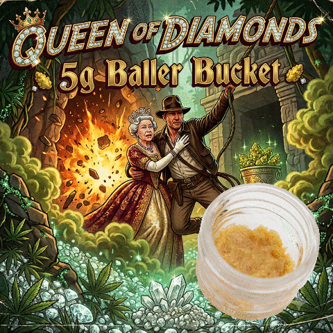 Live Rosin Baller Bucket - Queen of Diamonds - Indica Dom