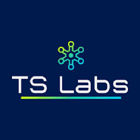 TS LABS AIO (H) HONEY BANANA 1G