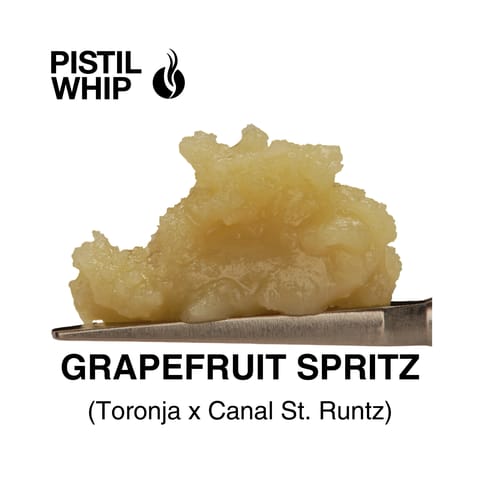 PISTIL WHIP - ROSIN BADDER - GRAPEFRUIT SPRITZ - 1G