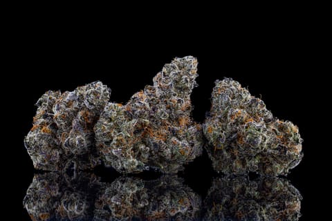 JOMO #19 (7g)