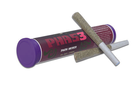 Phase 3 | Pre-Roll - Jack Herer | 0.5g x 2