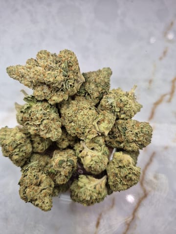 Motor Breath #15