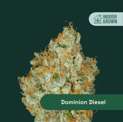 Flower | 3.5g | Sativa Hybrid | Dominion Diesel