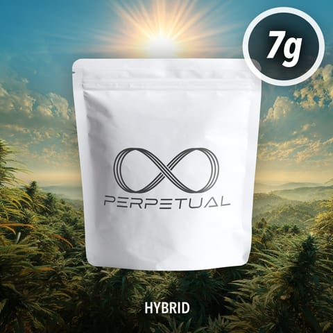 Cookie Stash (Hybrid) | 7G Flower | by Perpetual