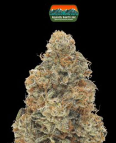 Khalifa Kush Flower 1g Dime Bag