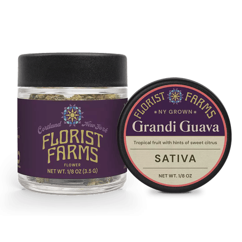 Grandi Guava 3.5g Flower