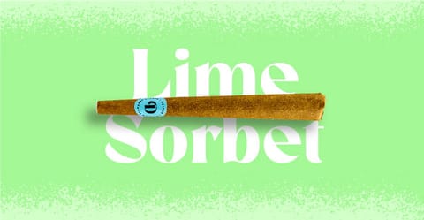 Lime Sorbet 1G Doinks Blunt