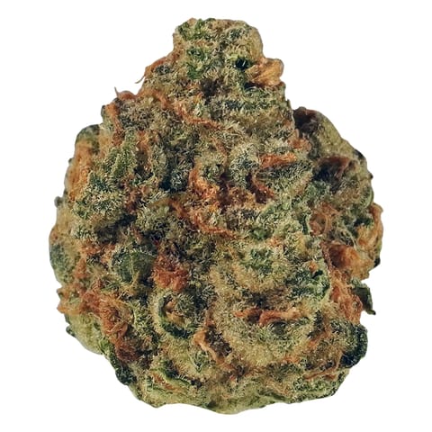 Early Lemon Berry