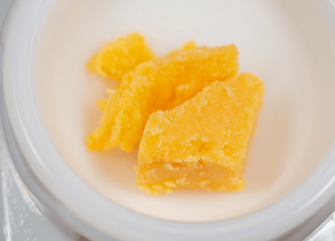 Sugar Cane