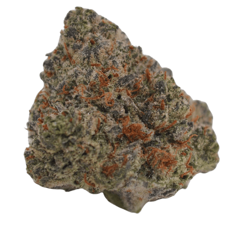 Black Orchid - Eighth (3.5g)