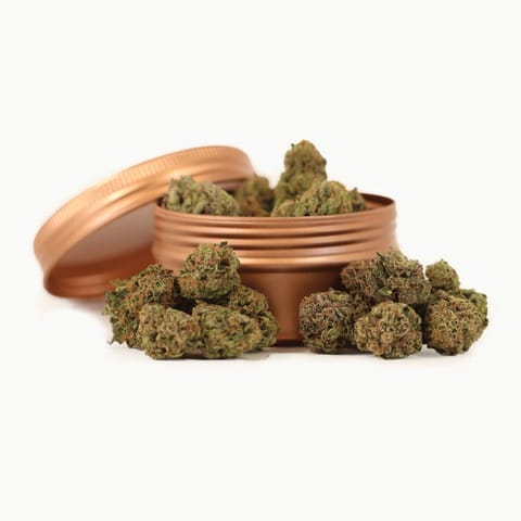 Ruby Farms | Platinum GSC | Flower | 3.5g