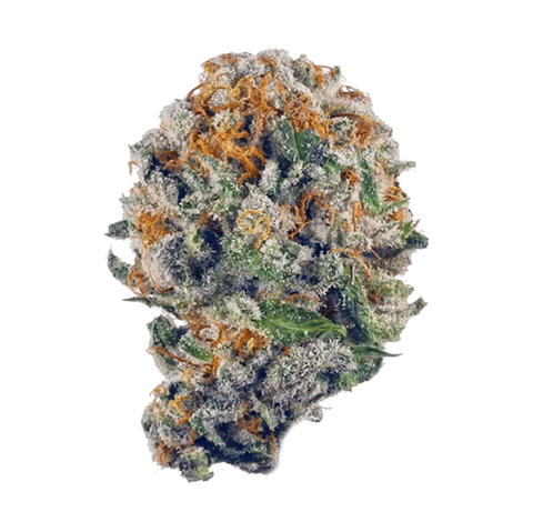 Blueberry Muffin - 5 Pack of Pre-Rolls (2.5g)