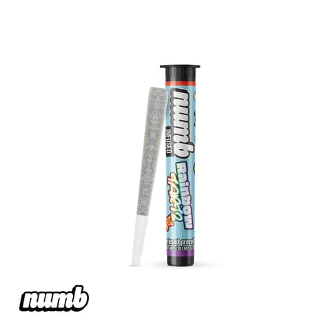 Rainbow Tartz | Numb | Infused Pre Roll | 1.2G
