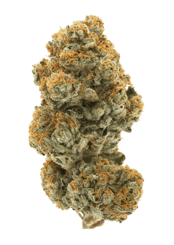 CREAM SODA