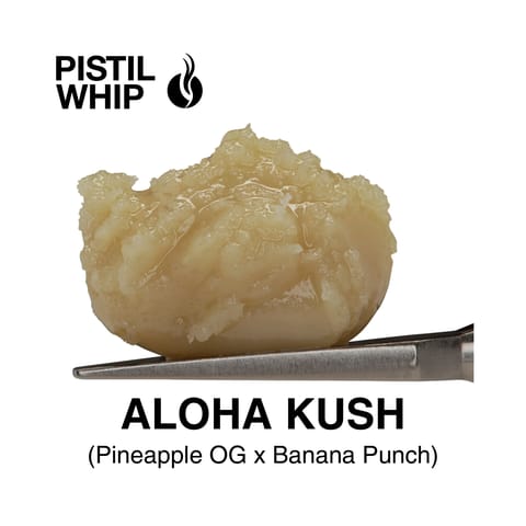 PISTIL WHIP - ROSIN BADDER - ALOHA KUSH - 1G