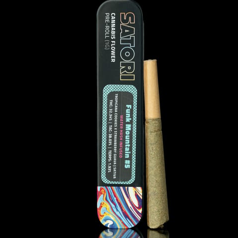 Funk Mountain #5- Hash Infused (H)