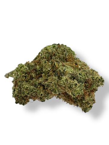 Dutch Koffee Sativa