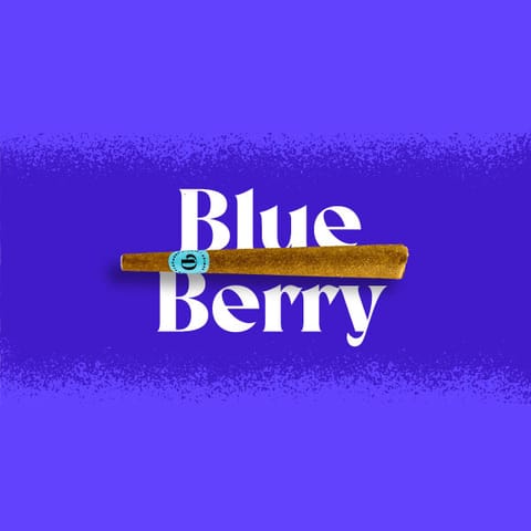 Doinks Infused Blunt | Blueberry 1g Med