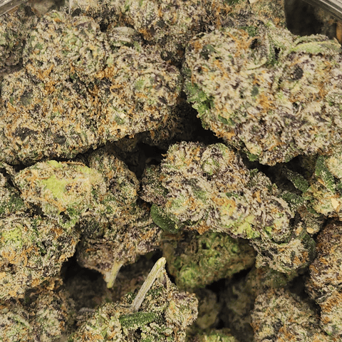 Bowhouse | Pink Runtz | Bulk Flower - B's
