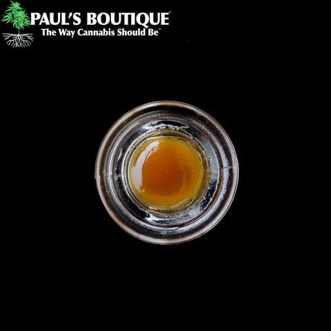 1g | Cured Resin | Presidential Runtz