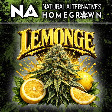 NA Lemonge
