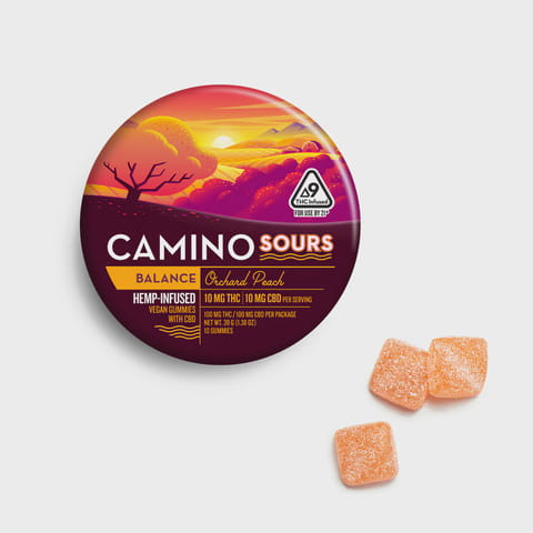 Camino Sours - Balance - Orchard Peach