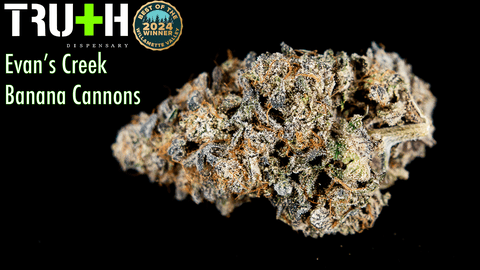 Banana Cannons 1G Cannagar (Evans Creek x Gem Nuggets)