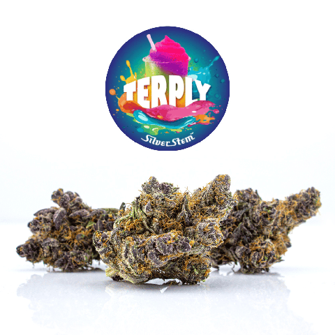 Terply 18 | Indica-Hybrid - | Half-ounce