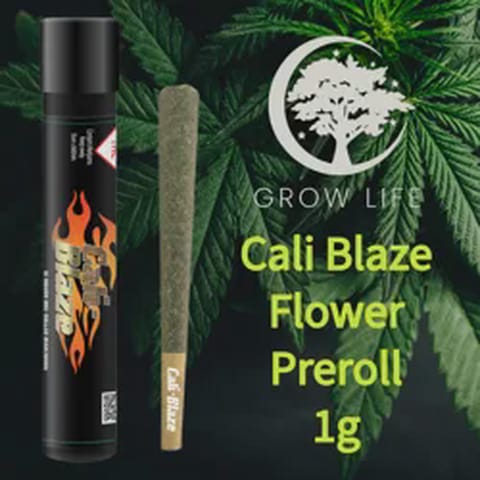 Cali Blaze Pre-Roll Cherry Gorilla Kush Breath 1g (REC)
