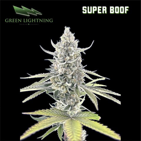 Super Boof (3.5g)