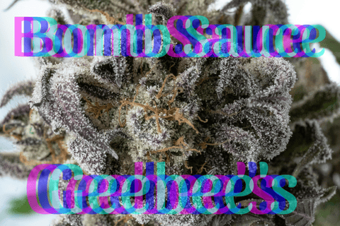 Bomb Sauce Flower Geebee's