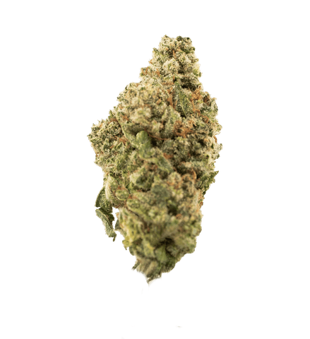 GG4 - LL - 3.5G