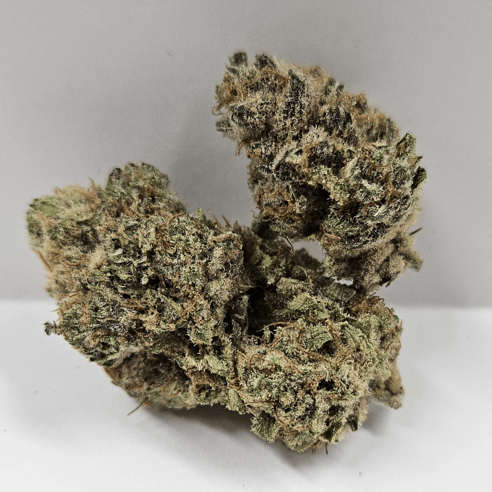 NW Soiltech | Goober Gas