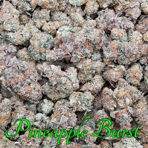 Pineapple Burst by Scorpion Grass