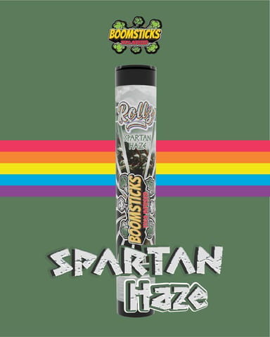Broomsticks Spartan Haze Infused Pre-Roll 1g