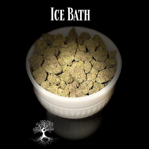 Buds - Ice Bath