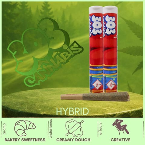 Big Buns Hybrid Pre-Roll by 303 Cannabis | Golden Rookie
