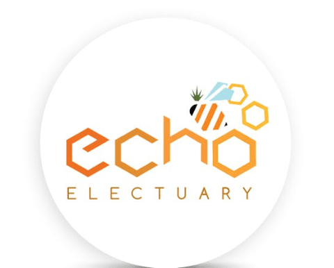 Echo Electuary | Sour Diesel Live Nectar Cart | 1g