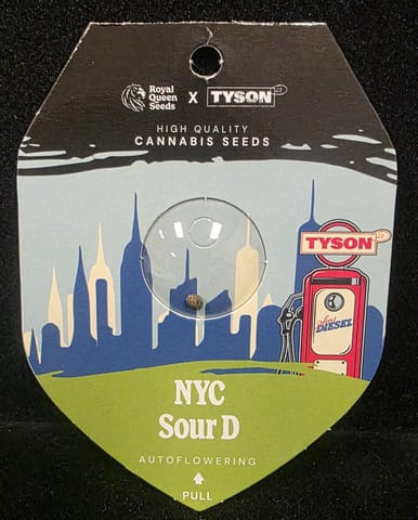 Auto Flowering Seeds - NYC Sour Diesel (Royal Queen X Tyson 2.0)