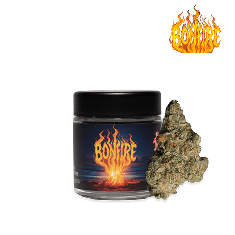 Seed Junky | Bonfire (H) | 1g Preroll Joint