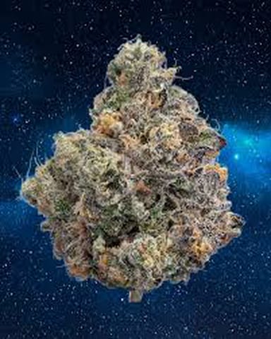Sunset Runtz | Primo Danks - 14g