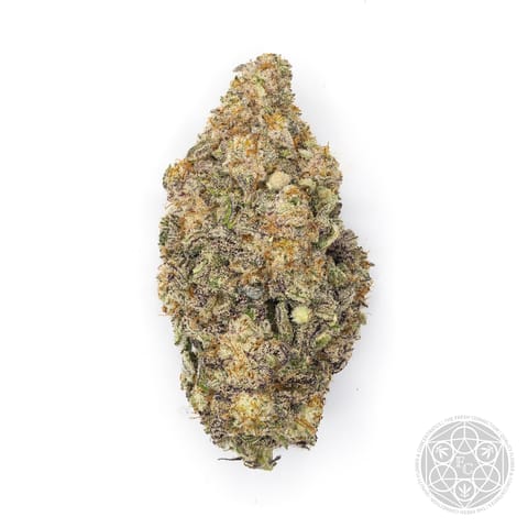 Flower | 3.5g | Sativa | MAC 31