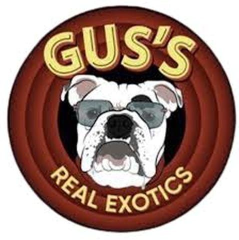 Purple Sodiez 14g Pre-Packed Jar | Gus's Real Exotics