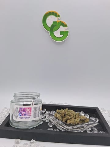 Purple Punch X 3.5G Flower HFCanna