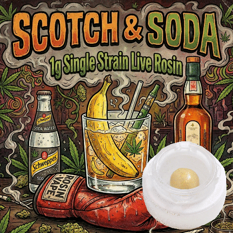 Single Strain Live Rosin - Scotch & Soda - Indica Dom - 1g