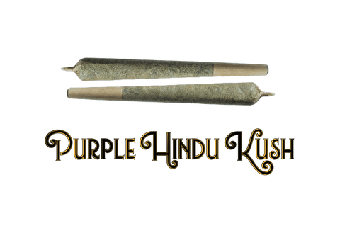 JOINTS | PURPLE HINDU KUSH | INDICA | 0.75 GRAM | X2