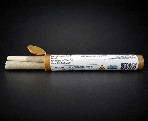 2pk Cones All Gas OG