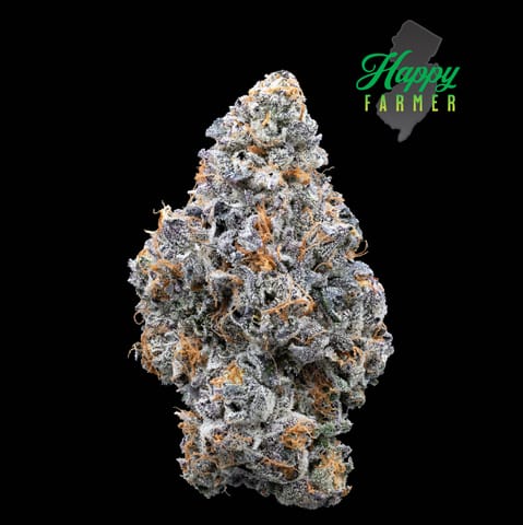 Lemon Cherry Fritter Smalls (7g)
